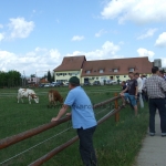 Kovászna 2013